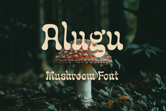 Alugu: A Bold and Expressive Design Choice