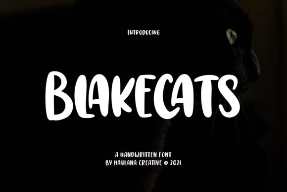 Blakecats: A Bold and Beautiful Display Font for Creative Projects