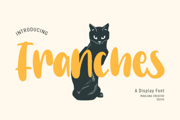 Franches: A Playful Display Font for Editorial Charm